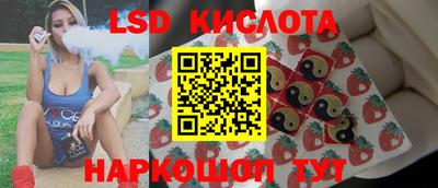 герыч Кингисепп