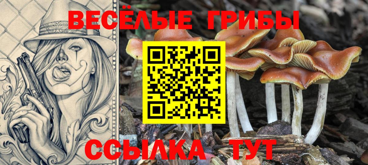 Лесной  Галлюциногенные грибы MAGIC MUSHROOMS  Галлюциногенные грибы GOLDEN TEACHER  Вход с VPN 
